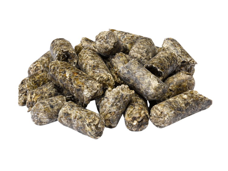 Imported Sugar Beet Feed (Unmolassed)