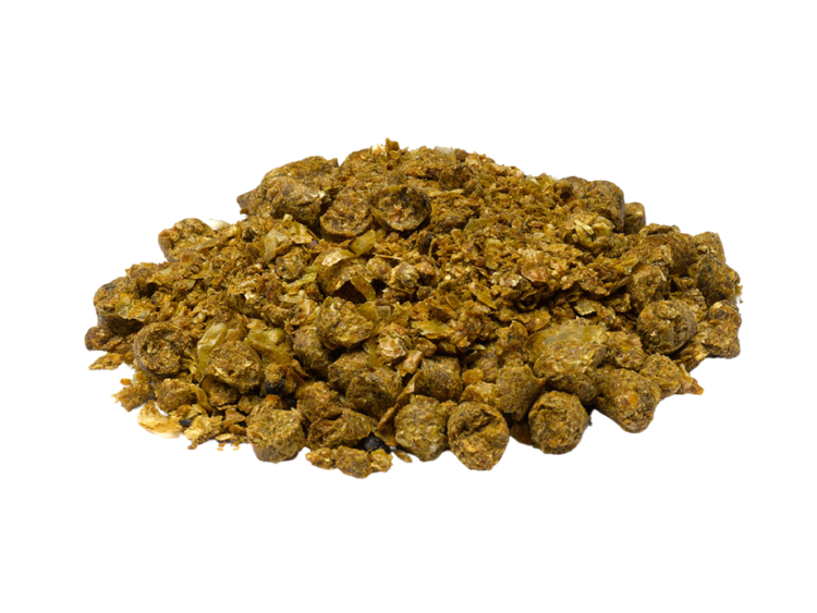 Imported Maize Distillers