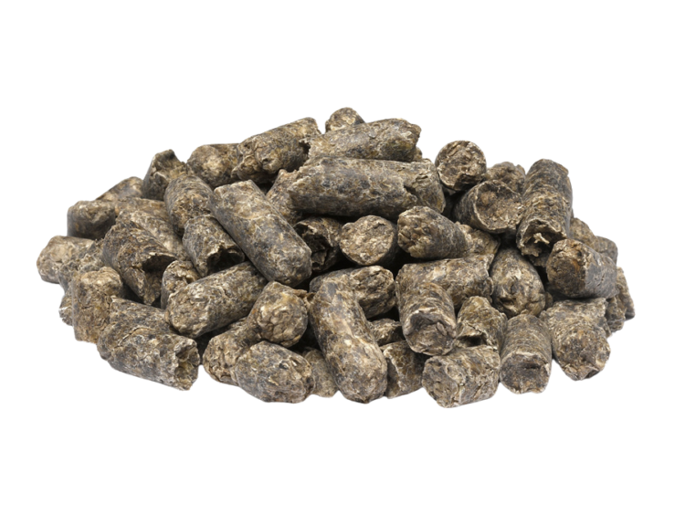 Imported Molassed Sugar Beet Feed