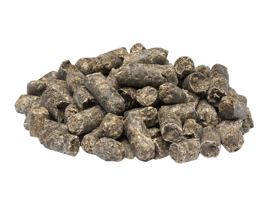 imported-molassed-sugar-beet-pulp